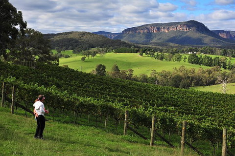 Private Blue Mountains And Winery Day-Trip From Sydney - Accommodation Kalgoorlie 2