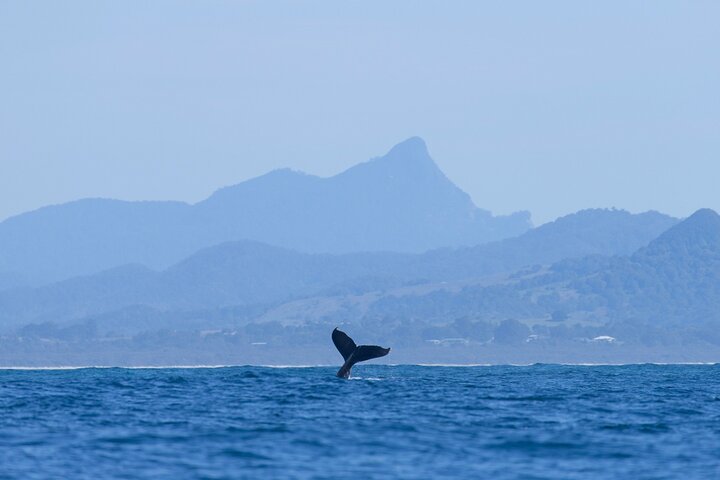  Accommodation Kalgoorlie