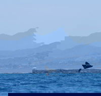 The Byron Bay Sea Kayak Tour - Accommodation Kalgoorlie