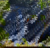 Byron Bay Hinterland Tour Including Rainforest Walk to Minyon Falls - Accommodation Kalgoorlie