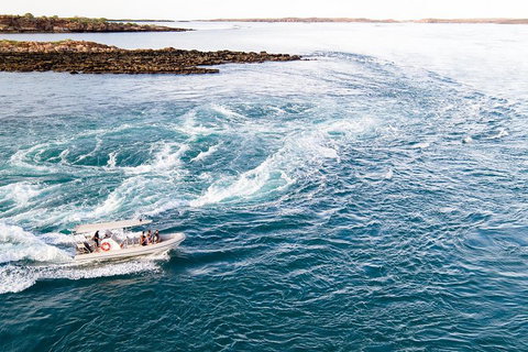 Giant Tides Tour - Cygnet Bay Pearl Farm - Accommodation Kalgoorlie 4