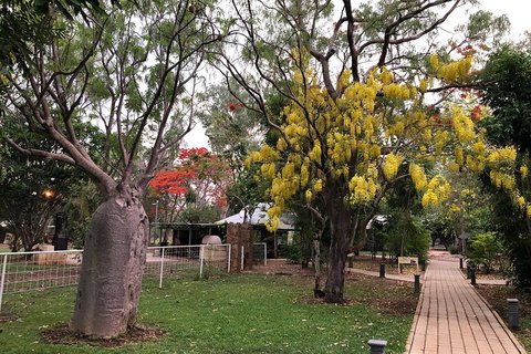 Wet Season Mitchell Falls Tour - Mitchell Falls, Horizontal Falls & Cygnet Bay - Accommodation Kalgoorlie 1
