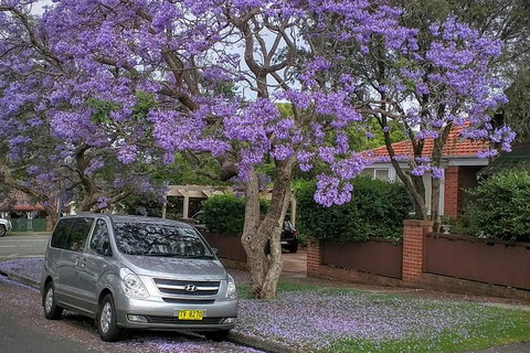 Sydney Secrets & Bondi Beach Private 4 Hr Morning With Personalised Sydney Tours - Accommodation Kalgoorlie 0
