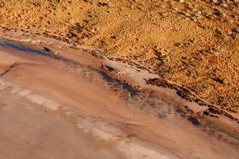 Scenic Flight: Lizard Safari - Accommodation Kalgoorlie 0