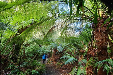 3-Day Adelaide To Melbourne Tour Including The Great Ocean Road - Accommodation Kalgoorlie 2
