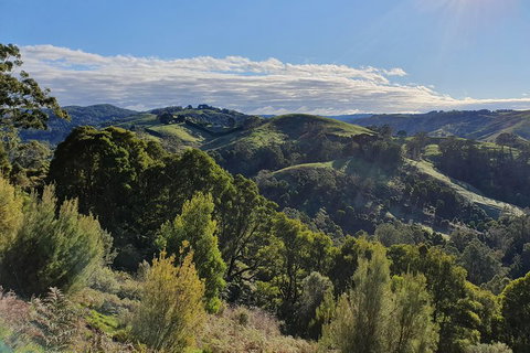 3-Day Adelaide To Melbourne Tour Including The Great Ocean Road - Accommodation Kalgoorlie 5