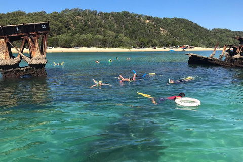All Inclusive Dolphin And Tangalooma Wrecks Cruise - Accommodation Kalgoorlie 0