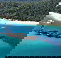 All Inclusive Tangalooma Wrecks Cruise Tour From Gold Coast - Accommodation Kalgoorlie