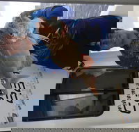 3/4 Day 7 Hour Offshore Fishing Charter - Accommodation Kalgoorlie