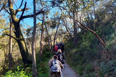 Self-Guided Waterfall Gully To Mount Lofty Hike From Adelaide - Accommodation Kalgoorlie 1