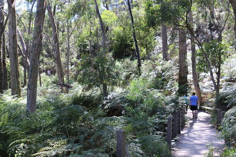 Self-Guided Waterfall Gully To Mount Lofty Hike From Adelaide - Accommodation Kalgoorlie 2