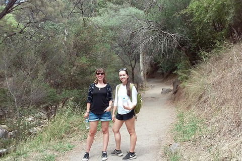 Self-Guided Waterfall Gully To Mount Lofty Hike From Adelaide - Accommodation Kalgoorlie 4