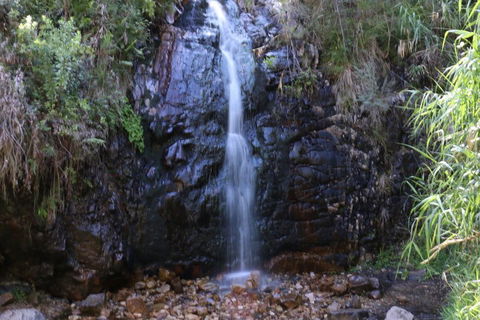 Self-Guided Waterfall Gully To Mount Lofty Hike From Adelaide - Accommodation Kalgoorlie 5