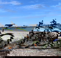 Adelaide City to Sea Bike Tour - Accommodation Kalgoorlie