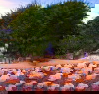 Byron Bay and the Crystal Castle Day Tour from Gold Coast - Accommodation Kalgoorlie