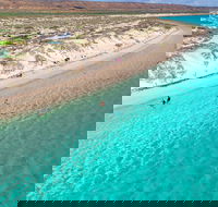 Ningaloo in a Day - Full Day Hike and Snorkel Tour with Lunch - Accommodation Kalgoorlie