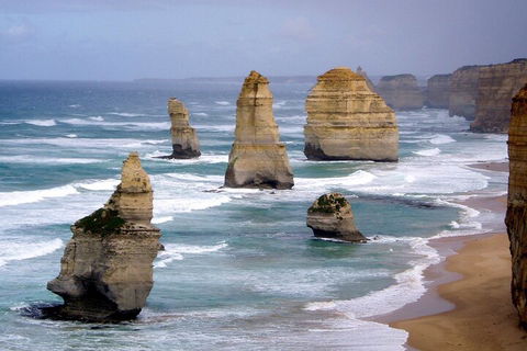 LGBT+ Friendly 2 Day Private Tour Great Ocean Road + Phillip Island - Accommodation Kalgoorlie 0
