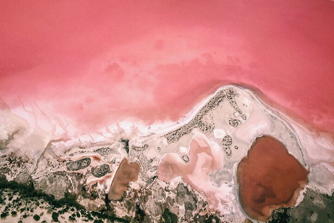 Kalbarri, Pink Lake And Abrolhos Islands Nature Tour - Accommodation Kalgoorlie 2