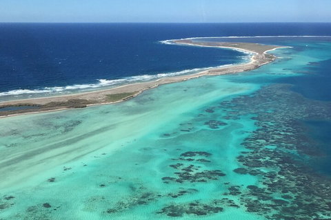 Kalbarri, Pink Lake And Abrolhos Islands Nature Tour - Accommodation Kalgoorlie 3