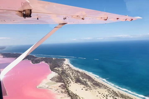 Kalbarri, Pink Lake And Abrolhos Islands Nature Tour - Accommodation Kalgoorlie 4