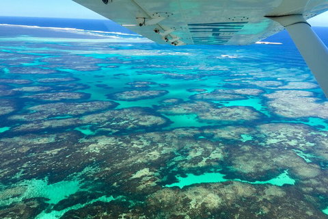 Kalbarri, Pink Lake And Abrolhos Islands Nature Tour - Accommodation Kalgoorlie 5