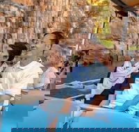 Katherine Day Tour from Darwin including Katherine Gorge Cruise - Accommodation Kalgoorlie