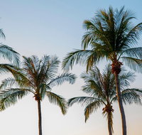 Darwin City Sightseeing Tour - Accommodation Kalgoorlie