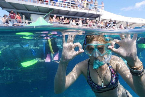 Great Barrier Reef Day Cruise From Cairns Including Snorkeling And Marine Biologist Presentation - Accommodation Kalgoorlie 0