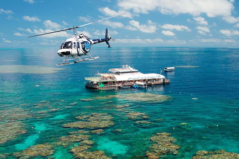 Great Barrier Reef Day Cruise From Cairns Including Snorkeling And Marine Biologist Presentation - Accommodation Kalgoorlie 5