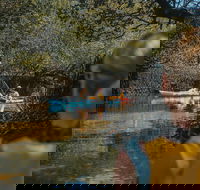 Kayak Tour in Adelaide Dolphin Sanctuary - Accommodation Kalgoorlie