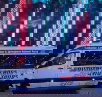 Evening Rainforest  Glow Worm Experience - Accommodation Kalgoorlie