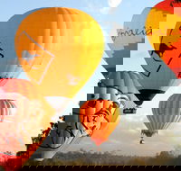 Natural Bridge  Springbrook Waterfalls Tour  Hot Air Balloon with Breakfast - Accommodation Kalgoorlie