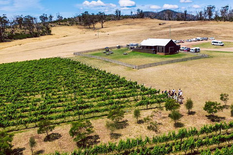Tasmanian Wine Tour - Accommodation Kalgoorlie 3