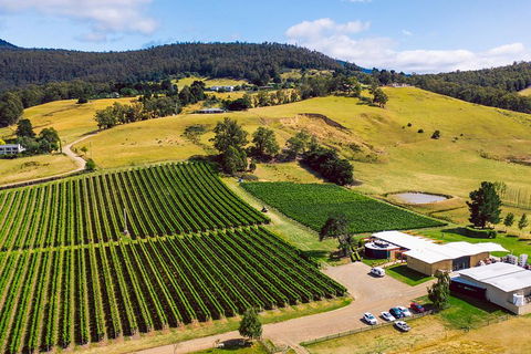 Tasmanian Wine Tour - Accommodation Kalgoorlie 4