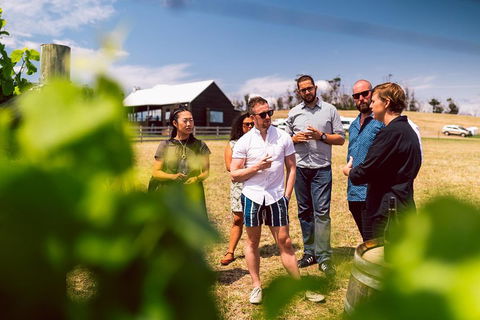 Tasmanian Wine Tour - Accommodation Kalgoorlie 5