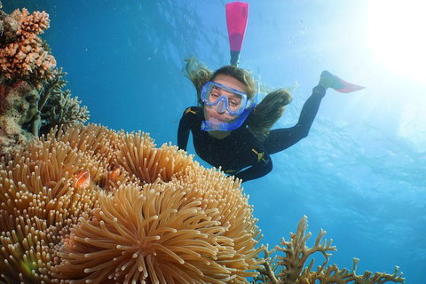 Quicksilver Outer Great Barrier Reef Snorkel Cruise From Port Douglas - Accommodation Kalgoorlie 2