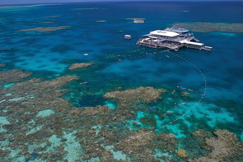 Quicksilver Outer Great Barrier Reef Snorkel Cruise From Port Douglas - Accommodation Kalgoorlie 3