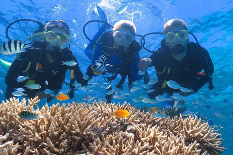Quicksilver Outer Great Barrier Reef Snorkel Cruise From Port Douglas - Accommodation Kalgoorlie 4