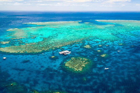 Quicksilver Outer Great Barrier Reef Snorkel Cruise From Port Douglas - Accommodation Kalgoorlie 5