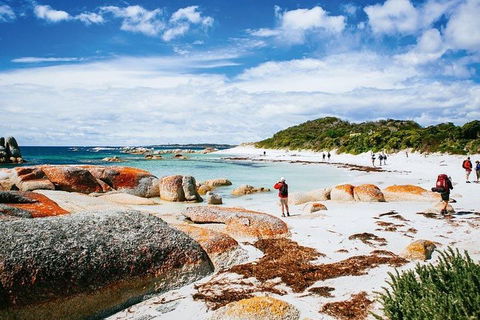 Wineglass Bay Private Charter Service - Accommodation Kalgoorlie 3