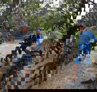 Fully guided E-Mountain Bike Tour on the beautiful Mornington Peninsula. - Accommodation Kalgoorlie