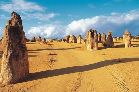 6 Days Perth All-Inclusive Touring Package With Wildflowers ( Seasonal) - Accommodation Kalgoorlie 5