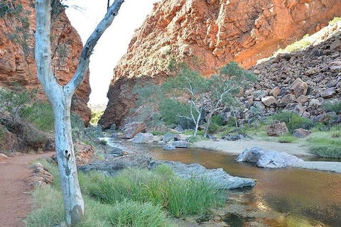 Alice Springs, Uluru Ayers Rock & Kings Canyon 8 Days Touring Package - Accommodation Kalgoorlie 2