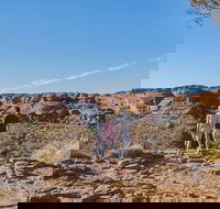 The Amazing Kings Canyon 4-Hours Walking Tour and Hike - Accommodation Kalgoorlie