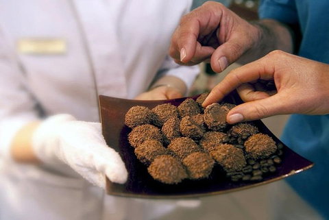 Explore Adelaide City Tour: Haigh's Tasting Chocolate & Adelaide Oval Tour - Accommodation Kalgoorlie 2