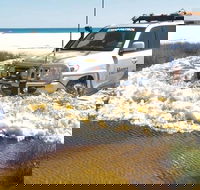 Full-Day Moreton Island 4x4 Sightseeing Tour - Accommodation Kalgoorlie
