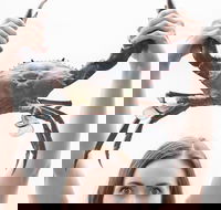 The Ultimate Gold Coast Attractions Pass - Accommodation Kalgoorlie