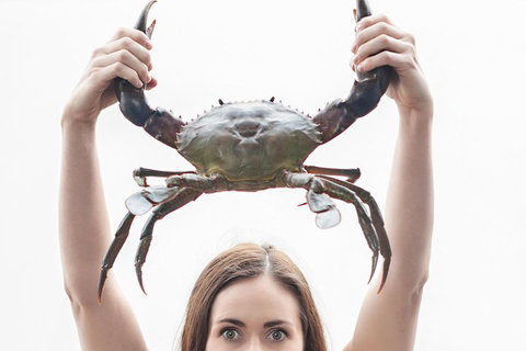 The Ultimate Gold Coast Attractions Pass - Accommodation Kalgoorlie 0