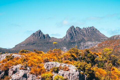 Cradle Mountain National Park Day Tour From Launceston - Accommodation Kalgoorlie 1