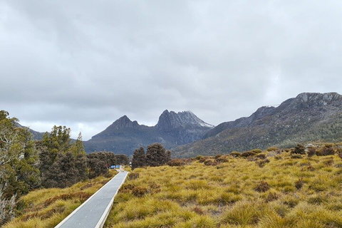Cradle Mountain National Park Day Tour From Launceston - Accommodation Kalgoorlie 2